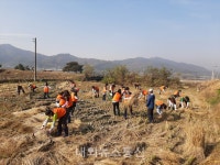 괴산증평교육지원청 농촌일손돕기 실시