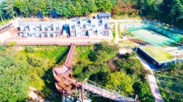 풀냄새 솔솔∼단양 소백산자연휴양림, 산림문화휴양지로 각광!