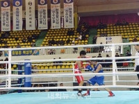 충주시 복싱 메카의 도시로 우뚝!