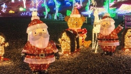 광양 느랭이골 자연리조트,  12월 전라남도 이달의 추천 관광지, 별빛이 빛나는 밤 선정