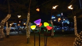 대전 대덕구 동춘당공원 야간 경관조명 설치