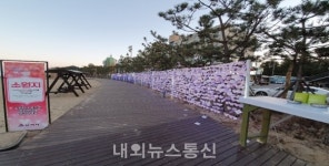 삼척해변에서 새해소원 이벤트진행!