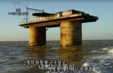 나라를 팝니다… 세계에서 가장 작은 나라, 씨랜드 공국