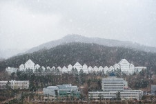 조선대, 2020학년도 등록금 동결