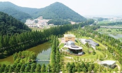 담양군, 메타세쿼이아랜드 입장료 반환 청구소송 항소심 승소