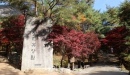 조령산자연휴양림, 코로나19 대응 임시 휴관