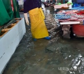 창원시 진해구 용원수산물시장 10일과11일 해수면 상승으로 침수
