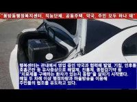 [코로나19 영상뉴스] 충주시 봉방동행정복지센터, 주민과 함께 코로나19 감염 원천 차단 사활