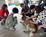 충주시, 반려동물 직업교육 수강생 모집