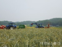 괴산군, 국내산 조사료 생산 증대 탄력