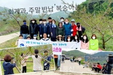 음성군 회계과, 감곡 복숭아 농가 일손 돕기 구슬땀