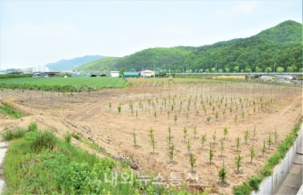 이철우 도지사 국비확보 총력...실무부서 국비반납 총력