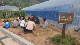 순천 해룡농어촌도서관, 꼬마농부 텃밭 가꾸기 운영