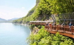 단양군 관광 상담센터 운영 관광활성화 전력