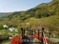 경북 자연휴양림, 생활속 거리두기 영향으로 방문객 급증