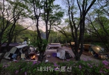 무더위 피해 단양 캠핑장 큰 인기