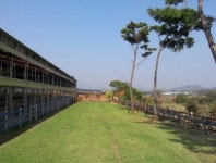 전남도, 깨끗한 축산농장 1천호 지정 나서