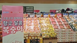 고흥군, 복숭아 10톤 롯데마트·롯데슈퍼 납품