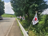 창녕군 대합면 태극기 거리 장관 연출