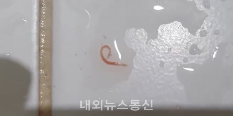 서울 수돗물 유충 발견…수도사업소 조사 중 | 포토뉴스