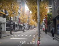 법정도로 된 강남구 가로수길, 도로표지판 싹 바뀌어