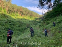 봉화군, 조림지 300여 ha 정비