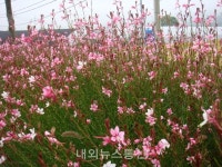 백두대간수목원 봉자야! 여름을 부탁해