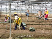 천안동남경찰서, 외국인도 팔 걷고 수해복구 참가