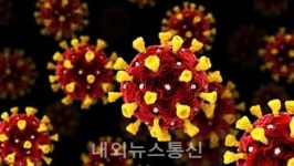 서울 16번째 코로나19 확진자 사망…삼가 고인의 명복을 빌며