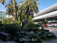 제주 지역화폐 이름 공모