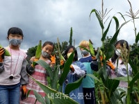 제주농업기술센터,  도시형 텃밭 생활원예로 코로나 극복