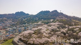 목포시, 유달산 일등바위 일원명승지정 추진