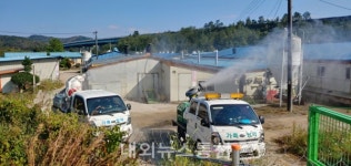 포항시, ASF 차단 특별방역 추진