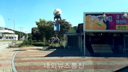 감곡IC앞, 도로 점용 복숭아 판매 독식...공익성 제로