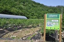 화순군, 저성장 시대 '임업인의 소득안전망 구축' 주력