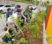 수성구 황금1동, 대구형 희망일자리 사업연계 마을 꽃길 조성