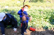 계양구, 할벤져스와 함께 가는 사계절 영양놀이터 농장체험 프로그램 실시