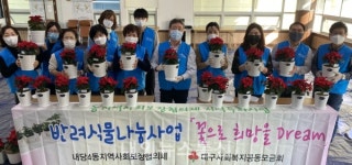 대구 서구 내당4동 지역사회보장협의체, 1인가구 반려식물 나눔