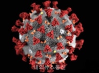 대한민쿡-음성소망병원 | 서울서 도주한 음성소망병원 확진자 2시간 만에 청주서 검거
