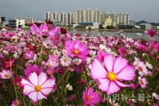 목포시, 삼학도 무장애 꽃길 조성 시민 공간으로 거듭난다!