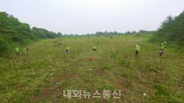 산림 재정지원 일자리 사업 추진