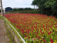 제주도 양성평등기금 지원사업 공모