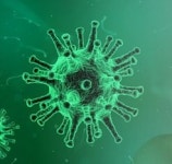 건대 포차끝판왕·1943 이용자 코로나 검사 권고