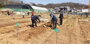 광명시, 친환경 시민주말농장 운영