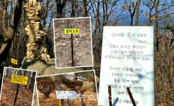 감곡면 원통산에 물든 필부의 손길...또 찾고 싶어