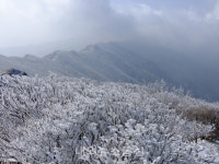 영주시, 소백산 철쭉 관리 민·관 합심