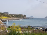 서귀포의 봄