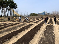 인천시설공단 영종공원사업단, 씨사이드파크 365텃밭 분양