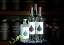 충주 주향담을 대한민국 주류 대상 수상