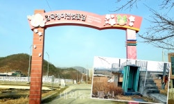 눈살 찌푸리게 하는 감곡면 벚꽃길의 민낯...정비 시급